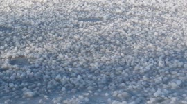 This is a cool weather phenomena thousands of ice balls on lake Superior