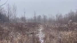 US: Arctic Front Brings Snow And Freezing Temperatures To Southeast Wisconsin