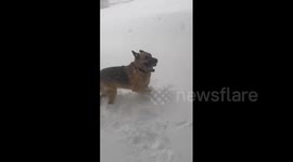 US: Lake-Effect Snow Hits Western New York 7