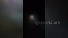 Wild in harmony! Leopard teams up with two elusive black panthers in Tiger reserve