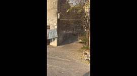 Quiet alley in China dazzles with shimmering reflections