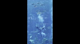 China Mermaid Open Grand Final opens in Sanya