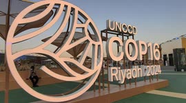 China's combat against desertification successful: senior Saudi official
