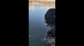 Friend's phone falls into frozen Lake in Beijing