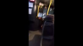 Bus crashes into a tree at full speed in Amur Oblast, Russia