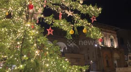 The Christmas decorations of the Christmas tree illuminated by Christmas lights in the evening in Piazza del Nettuno in Bologna.