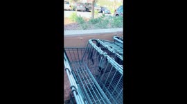 Couple takes in baby squirrel in Florida