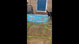 Swimming pool time in the summer 2024 I love a good splash in the pool :)