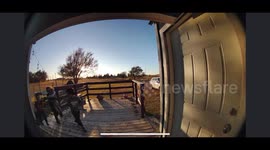 Four Kids Versus Wild Turkey