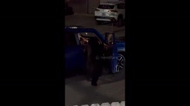 Bear Tries To Snag Thanksgiving Groceries