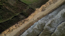 Ashe the  German Shepherd sees DRONE