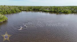 US: Stranded Dolphins Rescued From Mangrove Maze in Matlacha