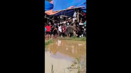 The stage occupied by residents watching the buffalo fighting arena collapsed in Indonesia, a number of residents were injured and fainted