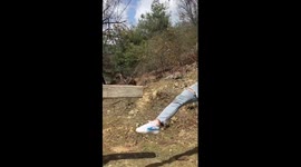 Fitness fanatic shows her incredible balance skills on tall wooden stakes