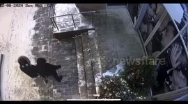 Man drags away Christmas tree in Moscow, Russia