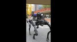 Robotic police dogs assist in street patrols in SW China