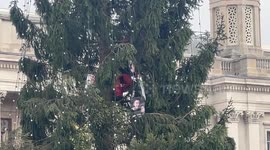 Fathers For Justice Activist Climbs Christmas Tree In Trafalgar Square.