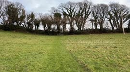 7 year old Rory is running down a hill, with the family dog at the bottom of the hill, who right at the end decides to get in position for a