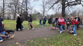 The winners of the Christmas Hyde Park Sausage walk proudly show of their medals after they best hundreds of other dogs