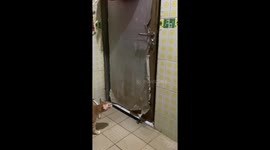Clever cat opens door in Jakarta, Indonesia