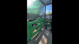 Ostrich pecks food from child's head in Mexicali, Mexico