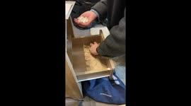 Mom wants a grandchild after finding a pregnancy test in Dublin, Ireland