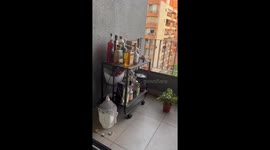 Wine bottles shake during earthquake in Ñuñoa, Chile