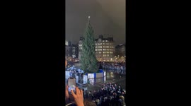 Christmas tree lighting in Trafalgar Square, London, UK
