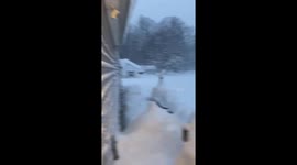 Dog plays happily in the snow in Kingsville, Ohio, USA