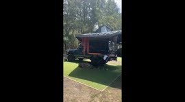 Kangaroo rests in tent shade in South Durras, Australia