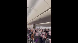 Passengers catch stowaway bird flying through plane cabin in New York