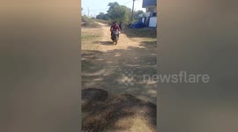 Injured stray dog carried away for treatment by locals in India