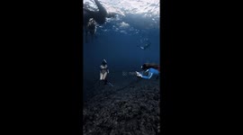 Two free divers pretend to hail a ride underwater