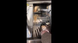 Student tests bread slicer with uneven results in Germany