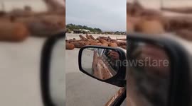 Syria: Syrian Rebels Capture Helicopters and Ammunition from Latakia Base