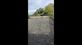 Cantering Horse Is Unphased By Inexperienced Rider