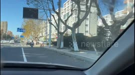 Dog chases owner in sunny China