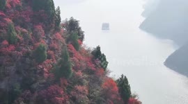 Red leaf season draws tourists to China's Chongqing