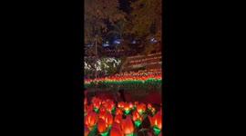 Visit thousands of glowing flowers in this park
