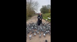 Pigeons flock around woman feeding them in Exeter, England, UK