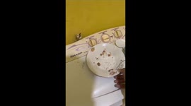 Suspected rat spotted inside toilet in Samarinda City, Indonesia