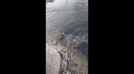 Kid falls into water and loses slippers in Shandong, China