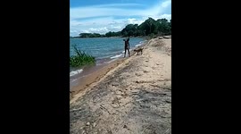 From Fleas to Freestyle: Dog’s First Dip Proves Pawsome!