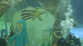 Nativity Scene Among Barracudas and Turtles at Madrid Zoo Aquarium!