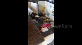 Significant damage reported as quake hits Vanuatu