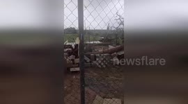 Spain: Storm Devastates Animal Shelter, Leaving 8 Injured and 3 Dogs Missing