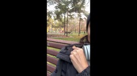 Sharing a Snack With a Friendly Squirrel