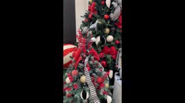 En este video, mis hijas gemelas disfrutan de su primer Navidad junto al árbol. Capturé un momento lleno de ternura, con ellas observando las luces y la decoración, mostrando la alegría y la magia de estas fiestas. ¡Un recuerdo precioso de su primer Navid