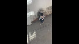 Dog stands on two feet while being scolded in Tibet, China