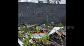Cyclone Chido Batters Mayotte, Leaving Significant Damage 6